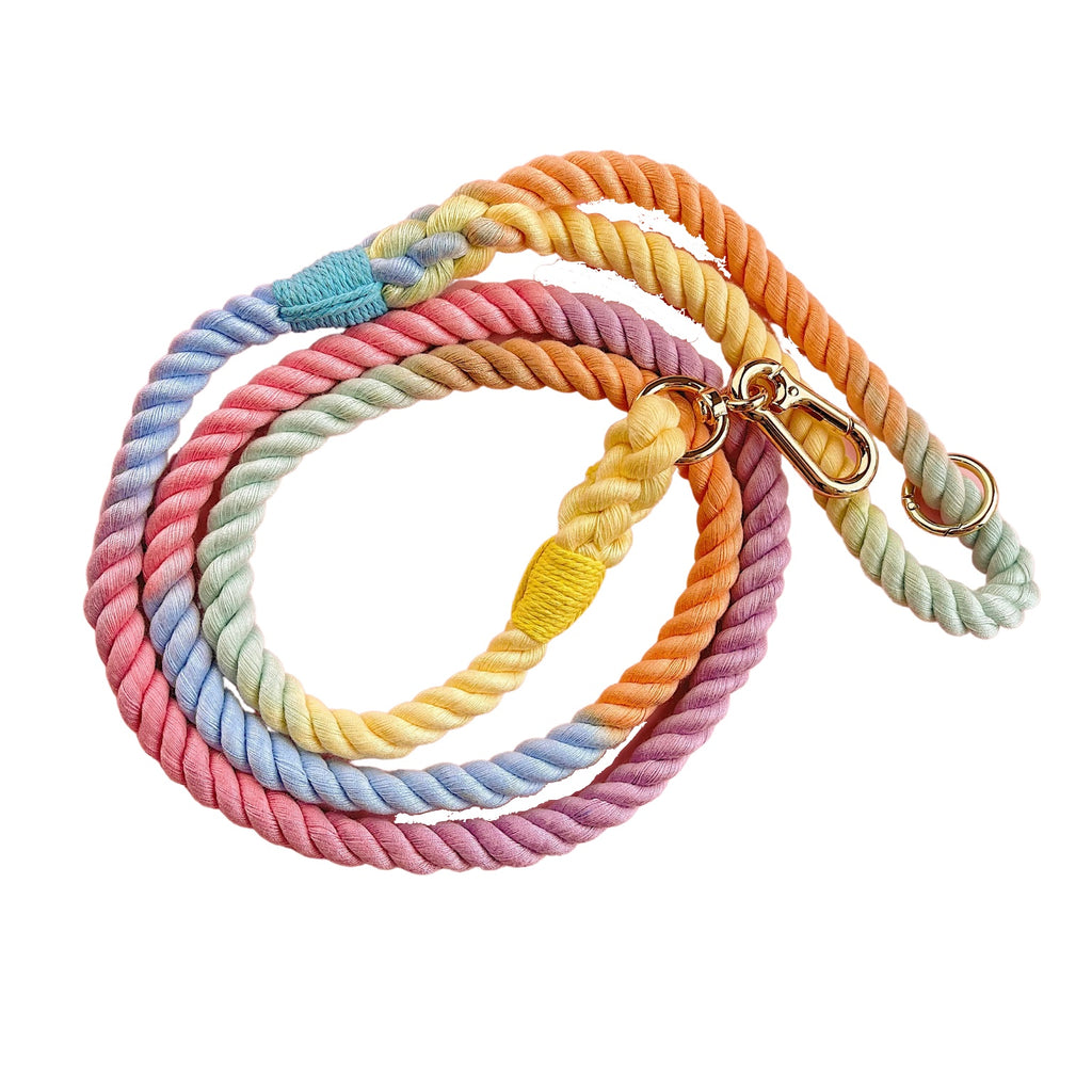 Rainbow Leash Rope