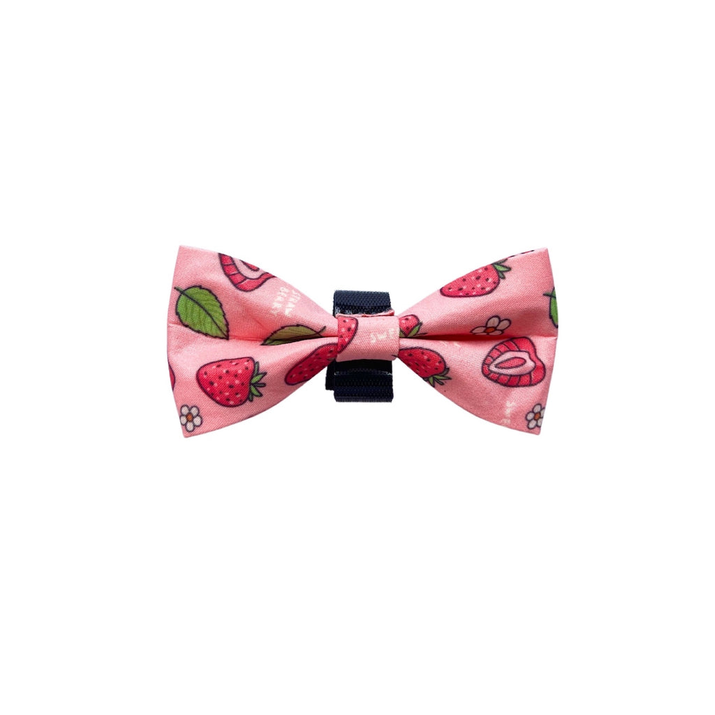 Sweet Strawfurry Friend - Bow tie