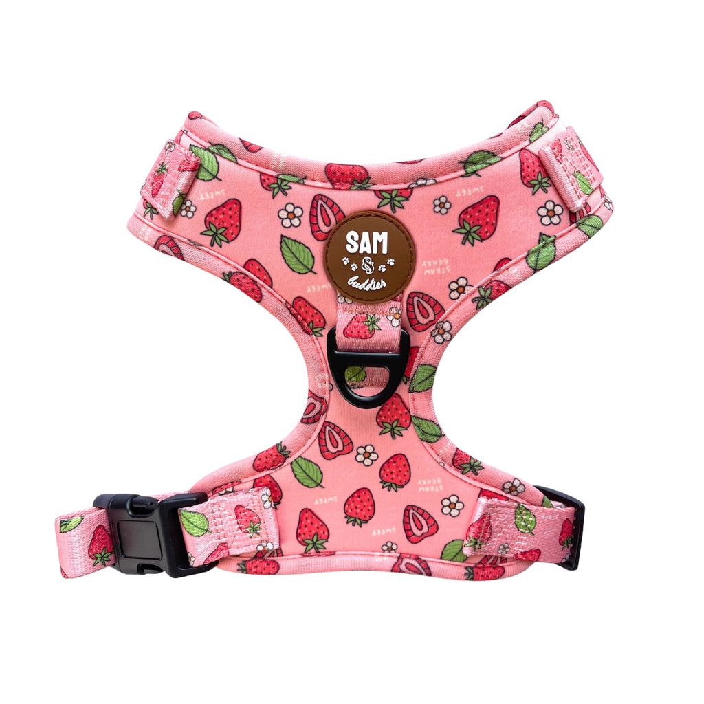 Sweet Strawfurry Friend - Harness